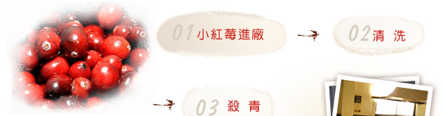 小紅莓製程