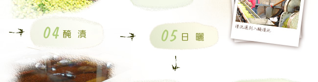 奶油話梅製程