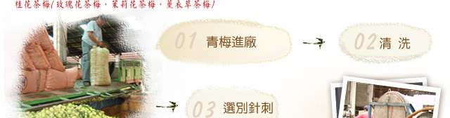 花茶莓製程