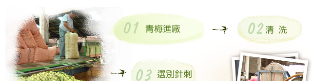 青脆梅製程