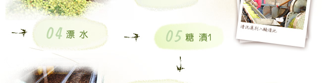 青脆梅製程