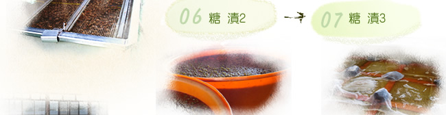 青脆梅製程
