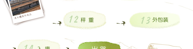 青脆梅製程