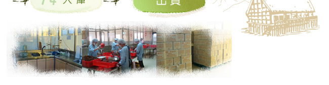青脆梅製程