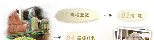 茶葉梅製程