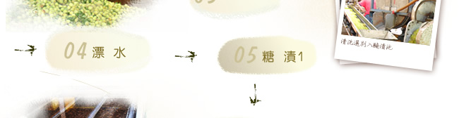 茶葉梅製程