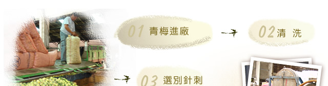 紹興梅製程