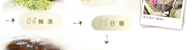 紹興梅製程
