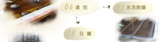 紹興梅製程