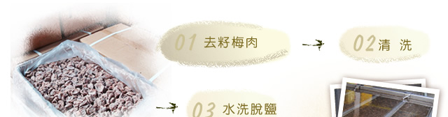 無籽梅肉製程