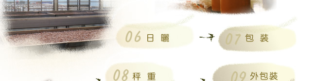 無籽梅肉製程