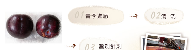 碳燻烏梅李製程